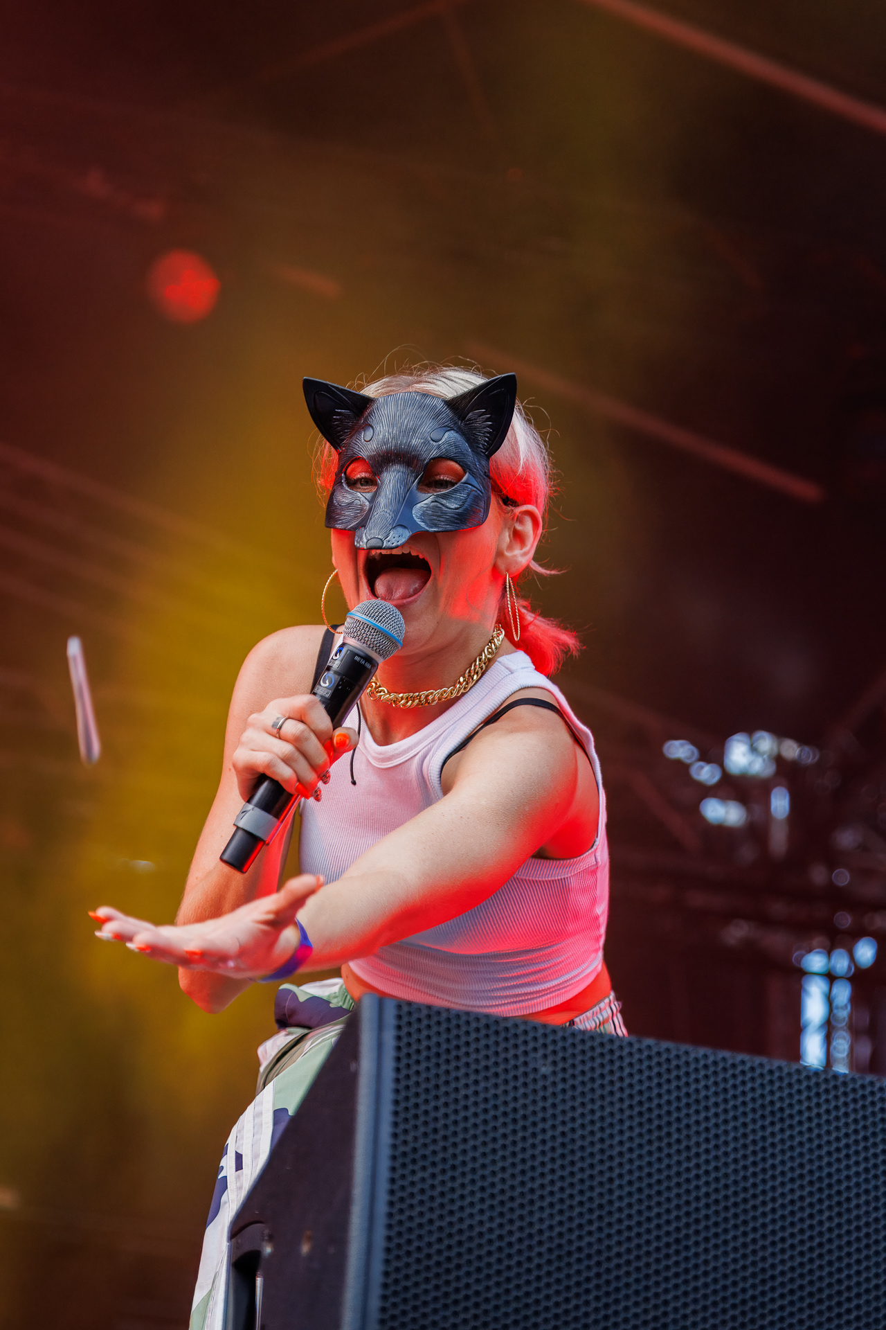 Antifuchs @ Wutzrock Festival 2024